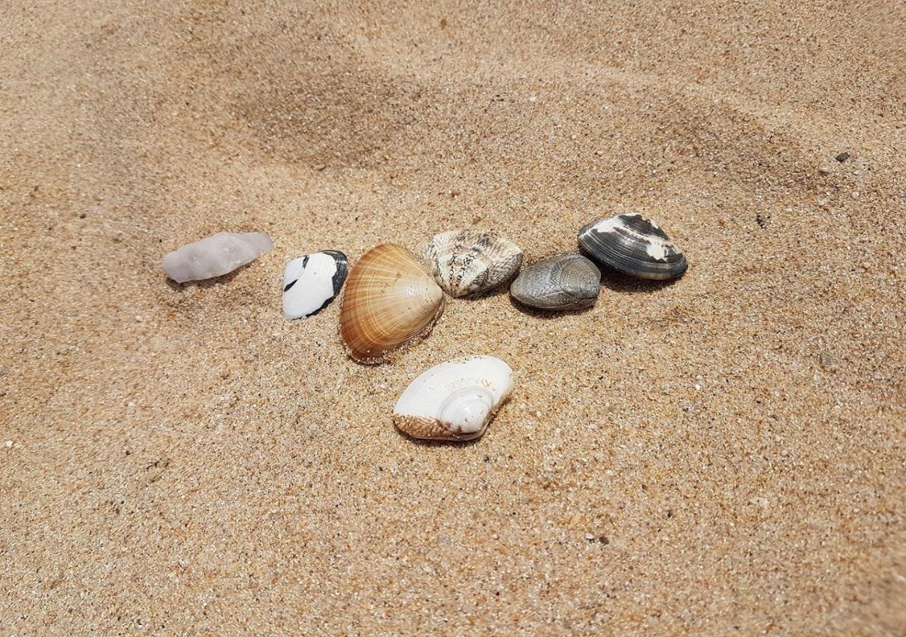 Willa Seaside Minbak Goseong  Zewnętrze zdjęcie